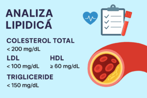 Interpretare analiză lipidică: colesterol total, LDL, HDL, trigliceride